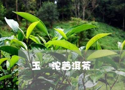 玉 沱普洱茶/2023042721387